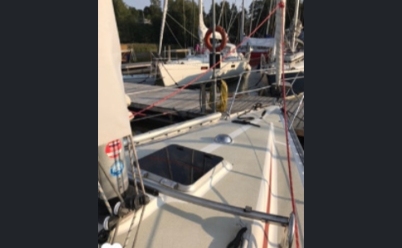 Finngulf Seaking-kuva-3